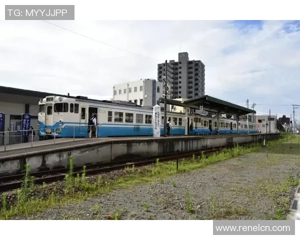 德岛旋涡与京都的魅力对比探索两地文化与自然之美